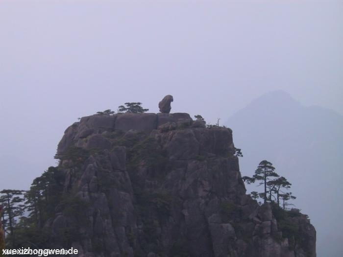 Gelber Berg – Monkey watching over the sea